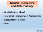 Plant Genetic Engineering