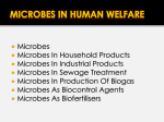 Microbes In Human Welfaregps