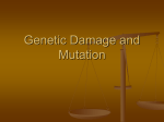 Genetic Damage And Mutation