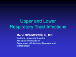 PowerPoint Presentation - Infectious Diseases of the Respiratory