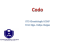 Codo - My Haiku