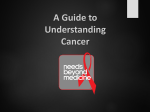 Cancer - Needs Beyond Medicine