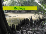 CLICK HERE! Ecology PowerPoint
