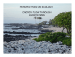 perspectives on ecology energy flow through