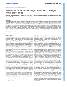 Developmental fate and lineage commitment of singled mouse