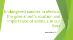 Endangered species in Mexico