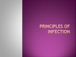 Principles of Infection