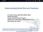 Understanding Stroke Risk and Treatment