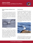 Climate Change and Marine Food Webs