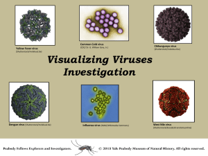 Visible Viruses - Yale Peabody Museum of Natural History