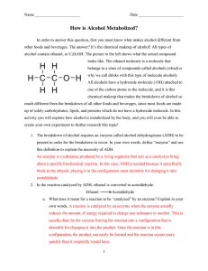 Word Version of Answer Key