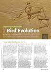 2 Bird Evolution - British Trust for Ornithology
