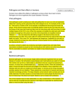 Pathogens and their effect on humans. Viral pathogens. OR