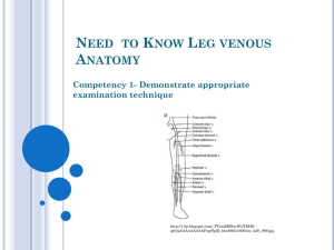 Need to Know Leg venous Anatomy