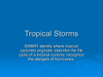 Tropical Storms - About Miss Brougham