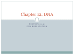 DNA Replication