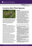 Invasive Alien Plant Species