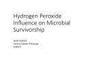 CCHS Jacob Cebulak Hydrogen Peroxide Influence on Microbial