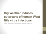 Dry weather induces outbreaks of human West Nile virus infections