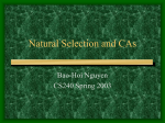 Natural Selection and CAs