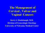 Cervical and Vulvar Cancer
