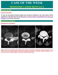 case of the week - eyad mohammed web site