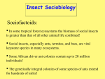 Sociobiology