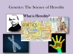 Genetics PowerPoint