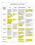 Ch. 20 Classifying Objects in the Solar System