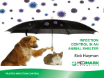 Infection Control within an Animal Shelter