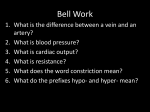 Blood Vessels PowerPoint