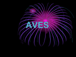 AVES - Geo2