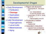 lecture 6 File