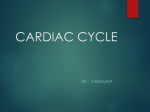 cardiac cycle