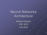 Neural Networks Architecture