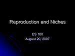 Reproduction and Niches