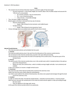 Anatomy 4- CNS Vasculature Brain The constant neural activity of