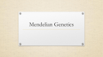 Mendelian Genetics