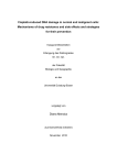 Cisplatin-induced DNA damage in normal and