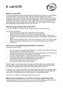 E. coli O157 factsheet