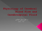 Physiology of Cerebral Blood Flow and Cerebrospinal Fluid