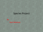 Species Project.zach