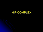 HIP COMPLEX