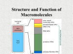 Structure and Function of Macromolecules