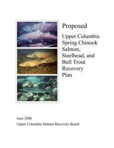 Draft Upper Columbia Salmon Recovery Plan