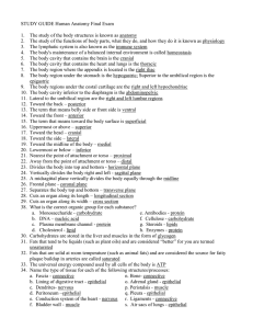 STUDY GUIDE Human Anatomy Final Exam