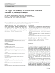 The azygos vein pathway: an overview from anatomical variations to