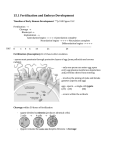 15.1 Fertilization and Embryo Development