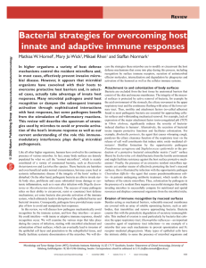 Bacterial strategies for overcoming host innate and adaptive