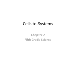 Cells to Systems